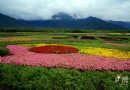 花東縱谷