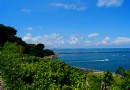 高雄港