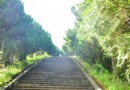 清境山林步道