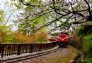 阿裡山森林鐵路