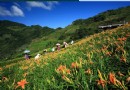 太麻裡金針山