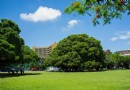 國立成功大學