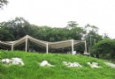 情人湖公園