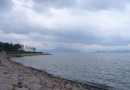 深圳灣公園