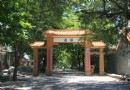 淇澳島