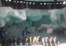珠海橫琴·長隆國際海洋度假區