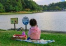超美水景 台北碧湖公園治療心靈