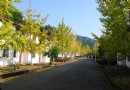 珠矶巷