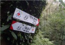 冬季限定！陽明山第一大瀑布 “阿裡磅”超壯觀 快來看啊~