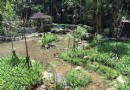 賞螢季來囉！台北木柵萃湖螢嬌客