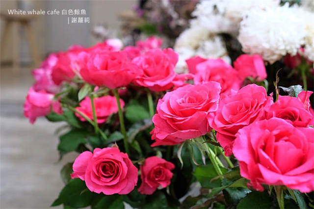 1481599852652187.jpg photo (15)_副本.jpg