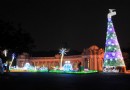 耶誕燈飾Ｘ花卉造景 台北公館聖誕季拍照亮點多
