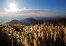 陽明山東西大縱走活動，9月1日體驗自然！