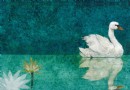 與你的童年相遇 安徒生插畫大獎50周年展