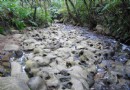 免費探尋台北貓空 茶園壺穴「樂」