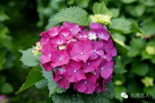 1465348350349673.jpg 640.webp (14).jpg