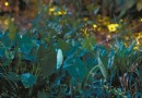 夜探虎山 繁華信義區入夜螢光閃閃