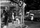 捷運忠孝敦化站這樣玩！逛街、閱讀與城市美學 鳥籠外的花園你注意到了嗎？