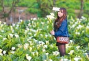 台北陽明山竹子湖海芋季登場 可持續到6月