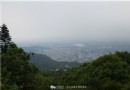 陽明山公園　包裹台北的一片林海