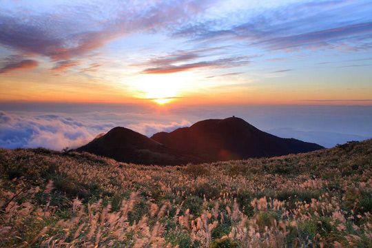 台灣陽明山大屯芒花夕陽