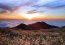 台灣陽明山 一座火山的溫柔故事
