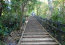 台北景點全攻略（12）--象山自然步道