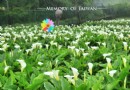 台北景點全攻略（7）--陽明山公園