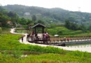 秋季城市惬意綠旅行 台北的十大親山步道~你去過幾條?