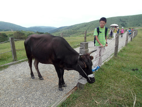 台北自助游圖片