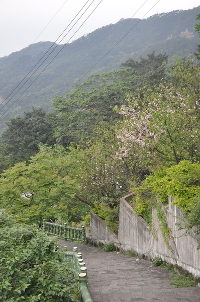 台北及九份自助游圖片