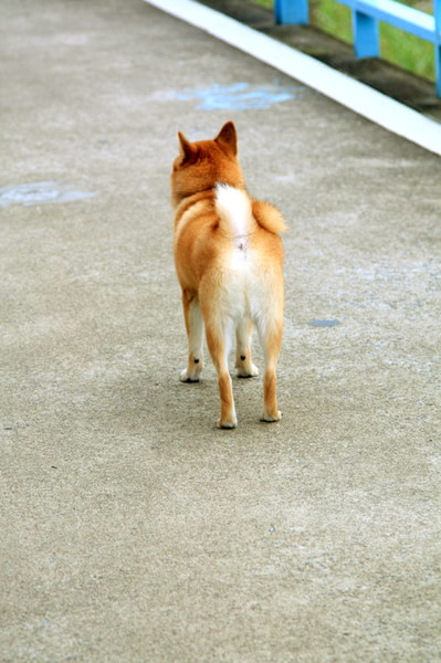 台北圖片