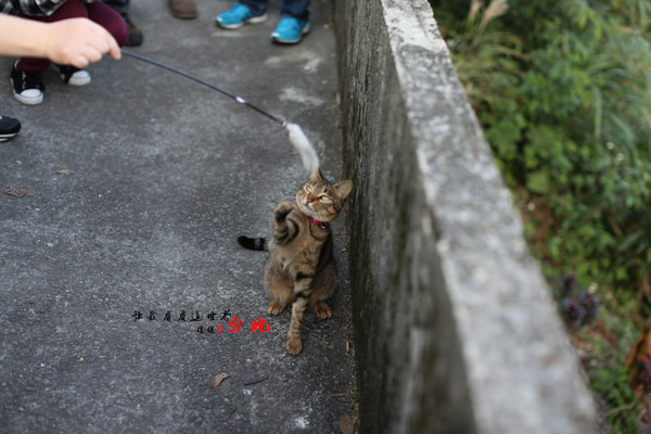 台北景點圖片