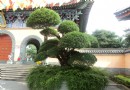 海南文筆峰道家文化苑
