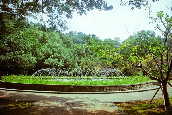 台北自助游圖片