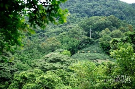 點擊圖片進入下一頁