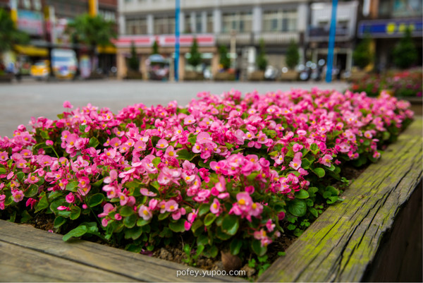 台灣旅游攻略圖片