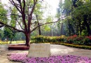 廈門園林植物園(萬石植物園)