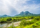 中華武夷茶博園
