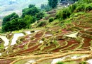 聯合梯田