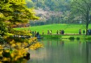太子灣公園