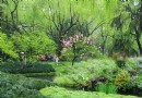 柳浪聞莺
