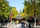 虎丘