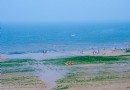 蘇馬灣生態園