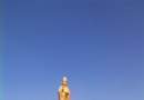 大縱湖濕地