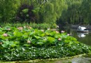 泉城公園