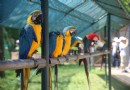 神雕山野生動物保護區