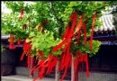 廟島媽祖廟