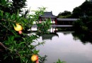 冠世榴園