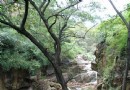 萊蕪官正九龍山